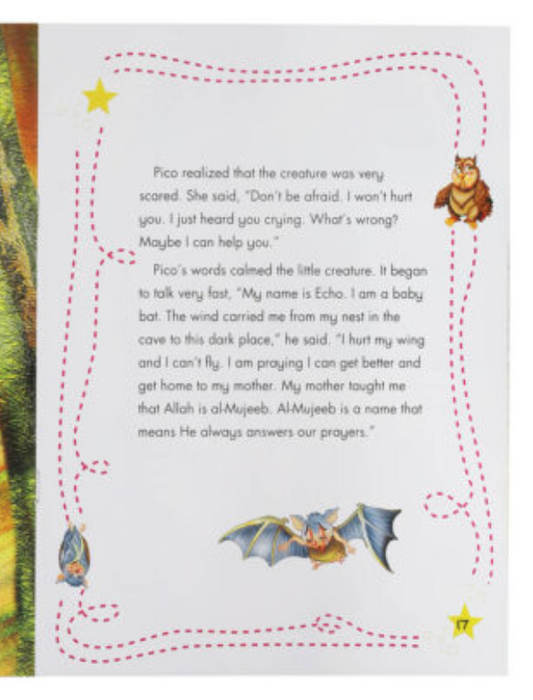 Pico the Owl Learns Allah's Name Al - Mujeeb