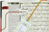 Maqdis A4 Large Al Quran Al Kareem Word-by-Word Translation Colour Coded Tajweed Black